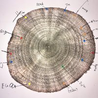 16 - Sandra Angers-Blondin